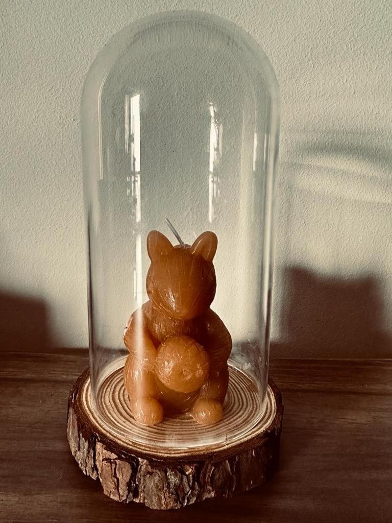 Love, Made In Xisto Piódão エクステリア 写真