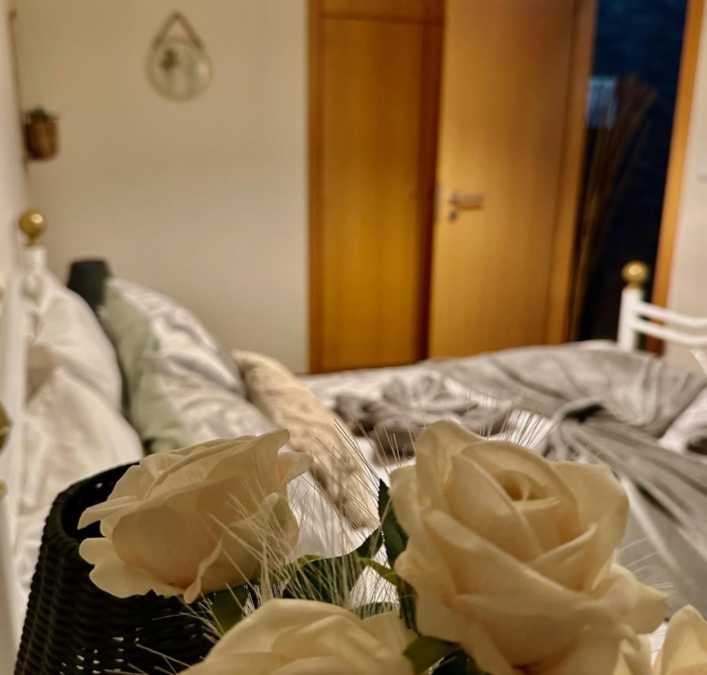 Love, Made In Xisto Piódão エクステリア 写真